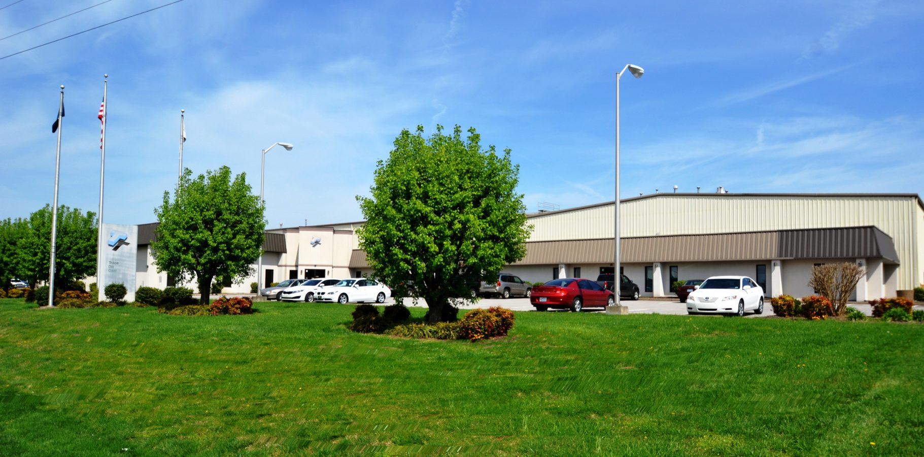 Trace Die Cast Alliance Corporation