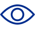 vision